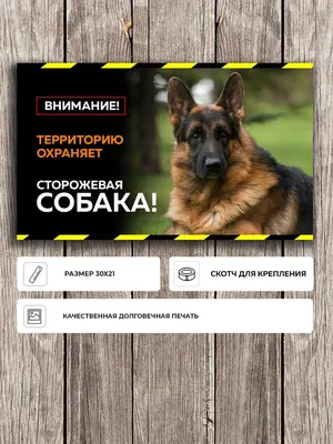 Красивая табличка \"Осторожно злая собака\" с Немецкой овчаркой черная А4  (30х21см), 30 см, 21 см - купить в интернет-магазине OZON по выгодной цене  (987407218)