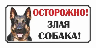 В Астрахани на девочку накинулась злая собака | АРБУЗ