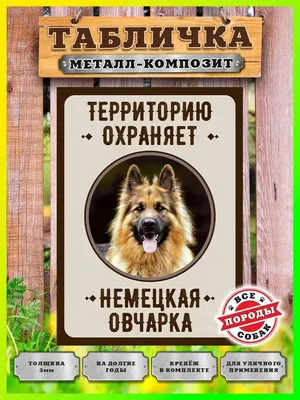 Табличка, Немецкая овчарка Злая собака 110126379 купить за 441 ₽ в  интернет-магазине Wildberries