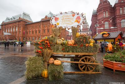 Золотая осень в Москве: синоптик рассказал о погоде в столице - МК