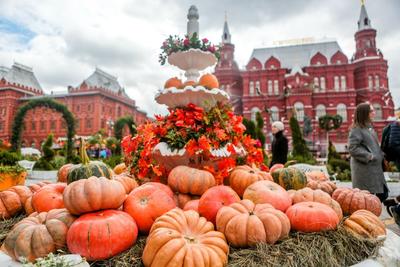 Синоптик сообщил о начале золотой осени в Москве – Москва 24, 21.09.2023