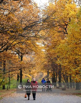 Золотая осень в Москве, 32к, …» — создано в Шедевруме