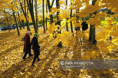 Где гулять осенью в Москве: 10 популярных мест