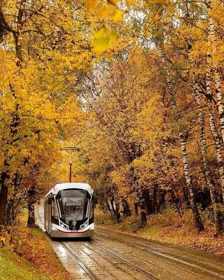 КРАСИВЫЕ КАДРЫ on Instagram: \"Добрый вечер, друзья! 🍁🍂🍁 Золотая осень в  Москве. 🍁🍂🍁 Больше красивых фото по ссылке в профиле. Благодарим  @andrey_rat… | Картины пейзажа, Пейзажи, Осень