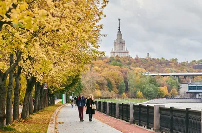 МОСКВА | MOSCOW on Instagram: \"Золотая осень 🍂 в столице Хорошо, есть осень,  она нежно и аккуратно готовит нас к холодам. Любимая осень. Время  размышлений, рук в карманах, глинтвейна по вечерам и