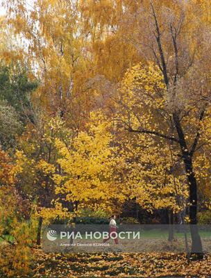 Где гулять осенью в Москве: 10 популярных мест