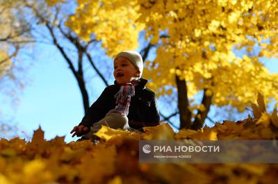 Золотая осень в Москве» — создано в Шедевруме