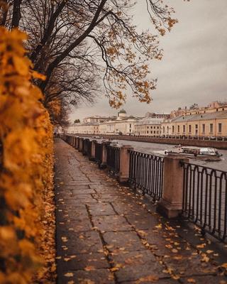 Пазл «Золотая осень Санкт-Петербурга» из 300 элементов | Собрать онлайн  пазл №207639
