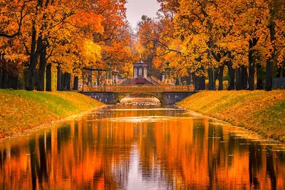 Золотая Осень В Санкт Петербурге Фото фотографии