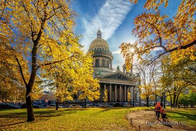 Золотая осень в Санкт-Петербурге – когда, что посетить