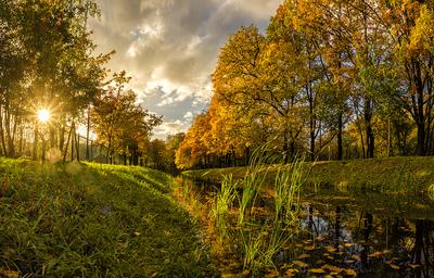 Золотая осень, Санкт-Петербург, …» — создано в Шедевруме