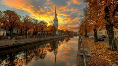 Золотая осень в Санкт-Петербурге. Фотограф Игорь Соболев