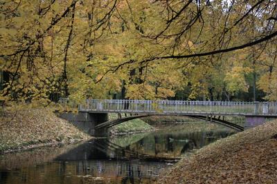 Золотая Осень В Санкт Петербурге Фото фотографии