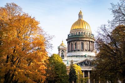 В Ленобласть и Санкт-Петербург идет \"золотая осень\" | 26.09.2021 |  ЛенОбласть - БезФормата