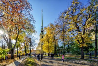 Золотая осень в Санкт-Петербурге - Ольга де Бенуа