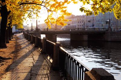 Золотая осень в Петербурге | Пенсионерка с Чёрной речки | Дзен
