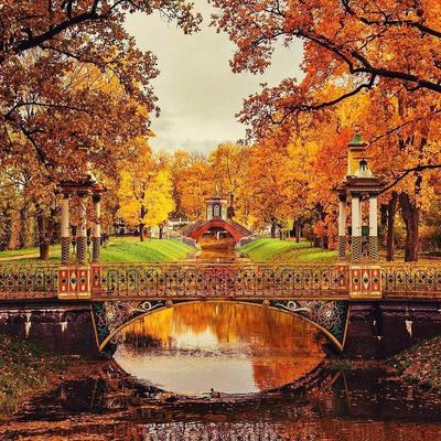 Красивые места Санкт-Петербурга для прогулки осенью