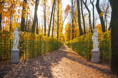 Золотая осень азербайджанки в Санкт-Петербурге (ФОТО)