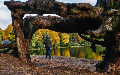 Золотая осень в Санкт-Петербурге — Фотограф Игорь Соболев