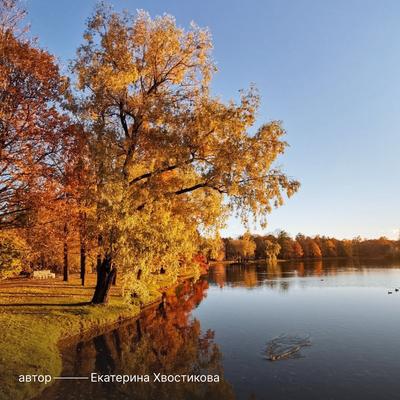 Осень в Петербурге - картинки и фото (62 шт)