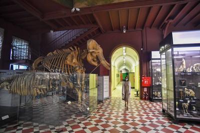 Потрясающий музей — отзыв о Зоологическом музее РАН