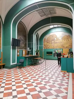 Зоологический музей РАН в Санкт-Петербурге: от бабочек до мамонтов
