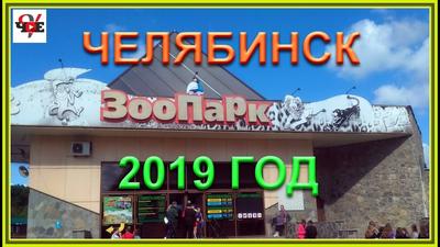 Челябинский зоопарк 2019 год. Полный видео обзор - YouTube