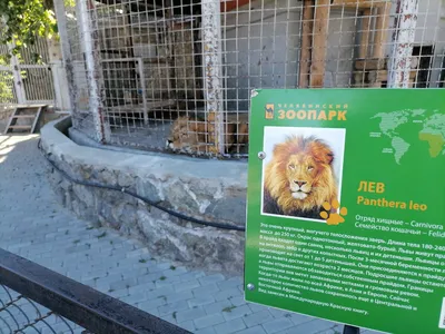 Челябинский зоопарк открыл зал с приматами │ Челябинск сегодня