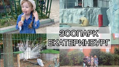 Контактный зоопарк Простоквашино, Екатеринбург: лучшие советы перед  посещением - Tripadvisor