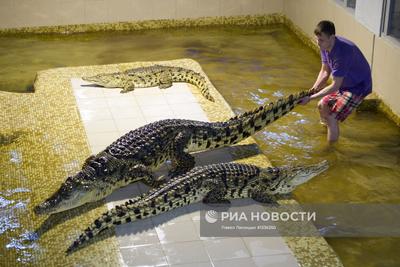 Екатеринбургский зоопарк, проблемы и перспективы | Пикабу