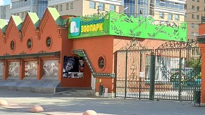 Старинное кладбище в «Зелёной роще» и празднование 89-летия  Екатеринбургского зоопарка: самое важное к этому часу: Общество: Облгазета