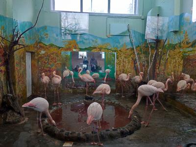 Зоопарк «Роев ручей» | Красноярск | Культурный туризм