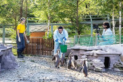 В Красноярске зоопарк «Роев ручей» вновь эвакуировали из-за сообщения о  минировании