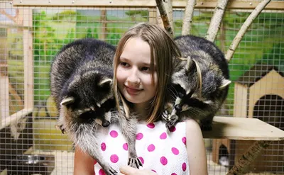 Лучший Зоопарк с животными в Минске в Чижовке на Ташкенской в Беларуси:  цены на билеты, официальный сайт, время работы, фото, адрес, отзывы