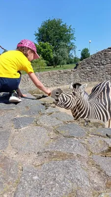 Minsk City Zoo. Sights and Attractions of Belarus, Travel and Tourism,  Historical and architectural monuments.