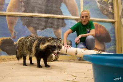 Зоопарк в Минске: цены, где находится, как доехать, история, что посмотреть