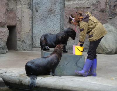 Самые лучшие контактные зоопарки Москвы для всей семьи