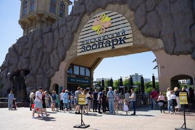 Московский зоопарк: мероприятия, еда, цены, билеты, карта, как добраться,  часы работы — ParkSeason