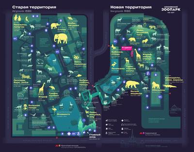 В Москве открыли детский зоопарк с камерунскими козочками - KP.RU