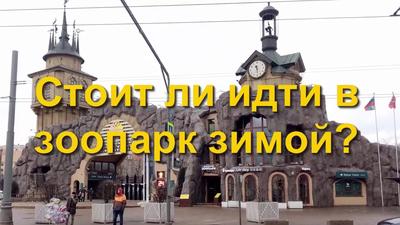Московский зоопарк отметит юбилей — 160 лет – The City