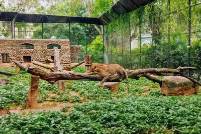 ТОП–10 лучших зоопарков Германии