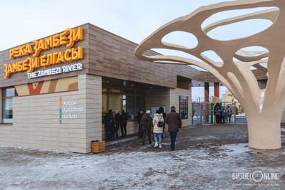 В Казани снова назвали сроки открытия многострадального зоопарка -  Рамблер/финансы
