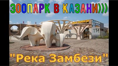 Минстрой РТ показал, как выглядит внутри новый казанский зоопарк