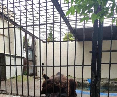 Трогательный зоопарк в Казани