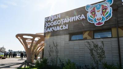 На «Реке Замбези» в Казанском зооботсаде завершают отделочные и ландшафтные  работы – Коммерсантъ Казань