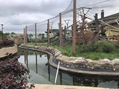 В казанском зоопарке «Река Замбези» готова на 80% — Татцентр.ру