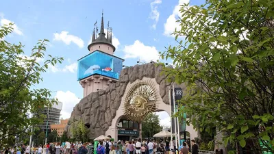 Московский зоопарк, Москва - «Отличное место для отдыха с детьми! 🐅🐯  🦁🐘» | отзывы