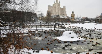 Московский зоопарк: фото, цены, отзывы, как добраться