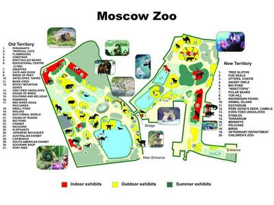 В Москве открылся обновленный детский зоопарк / Новости города / Сайт Москвы
