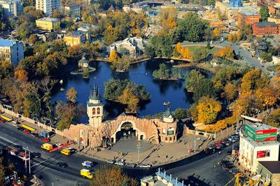 В Москве стартовала акция по сбору помощи зоопаркам Донбасса и Украины -  РИА Новости, 07.04.2022